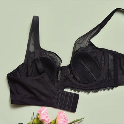 Elegant Wired Lace Bra – Thin Padding & Gentle Shaping for Natural Support